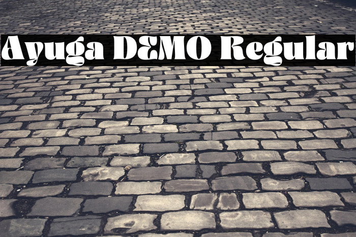 Ayuga DEMO Regular Example 3