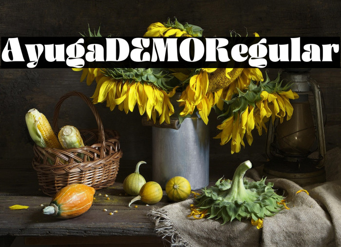 AyugaDEMO-Regular Example 1