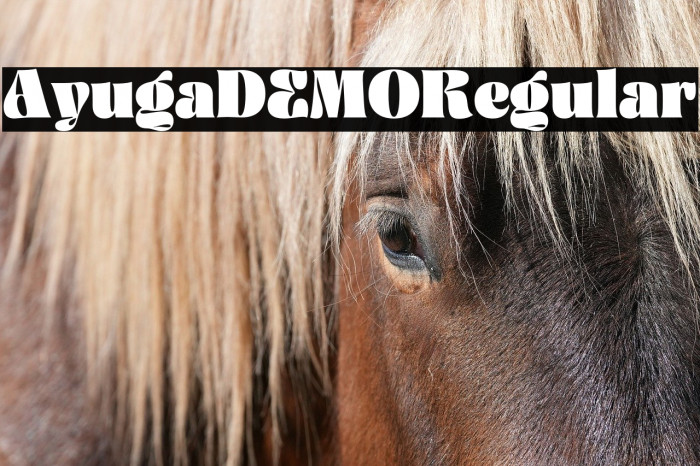 AyugaDEMO-Regular Example 2