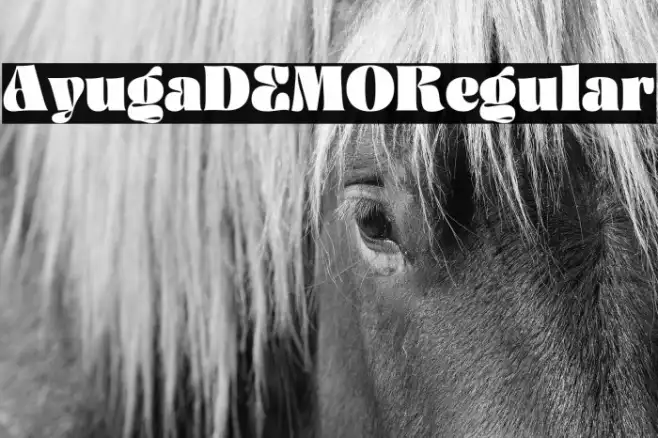 AyugaDEMO-Regular Example 2