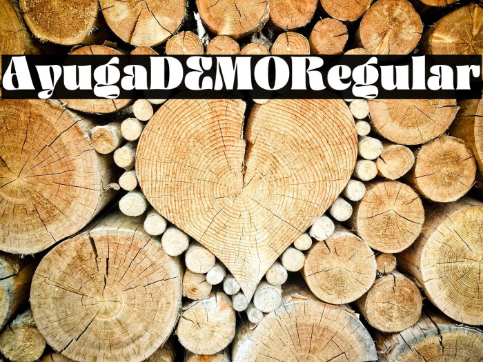 AyugaDEMO-Regular Example 3