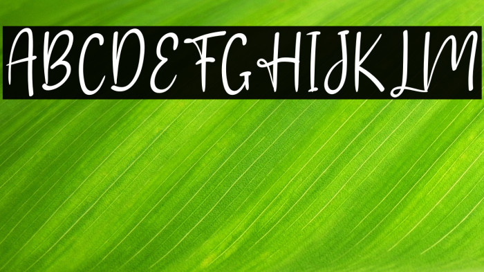 Ayuku Love Example 1