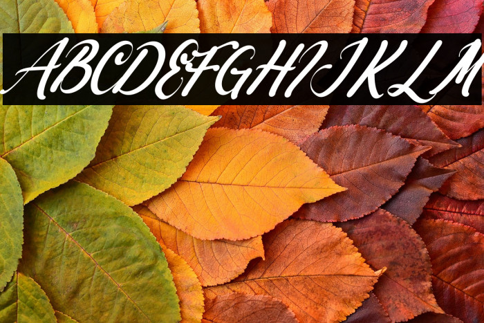 Ayunda Italic Example 1