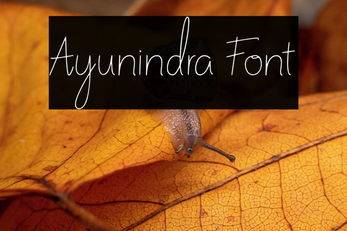 Ayunindra Font Example 1