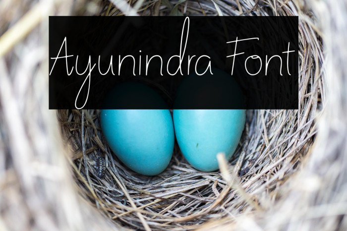 Ayunindra Font Example 2