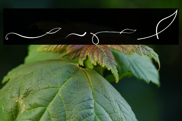 Ayuningtyas Swashes Example 2