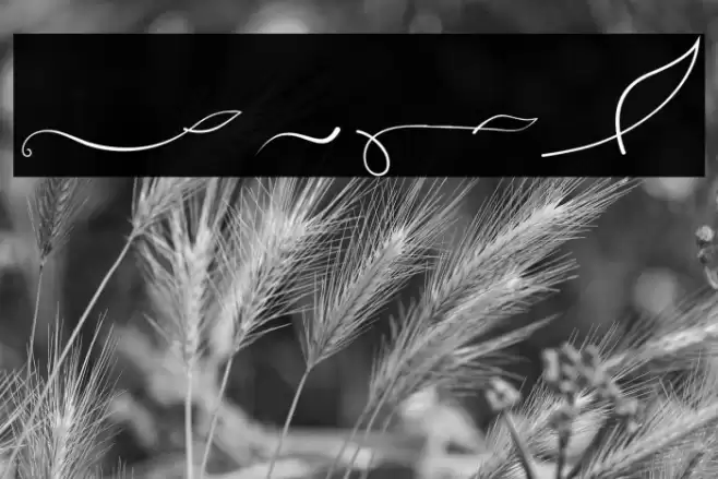 Ayuningtyas Swashes Font examples