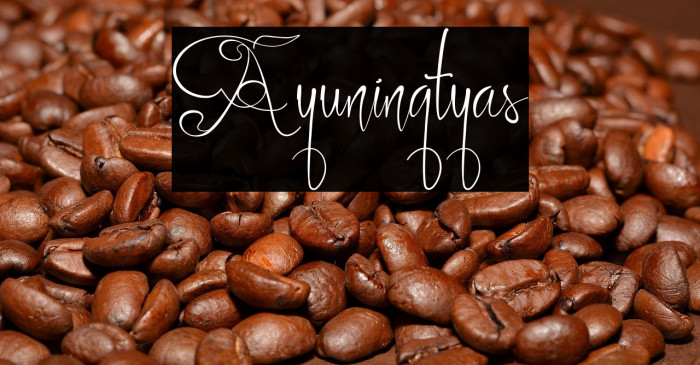 Ayuningtyas Example 3