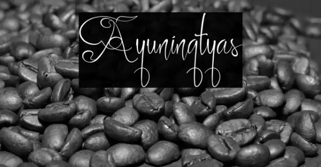 Ayuningtyas Example 3