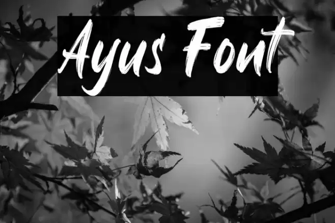 Ayus Font examples