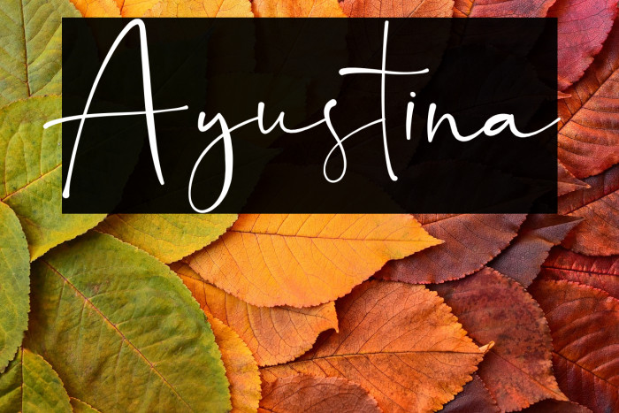 Ayustina Example 1