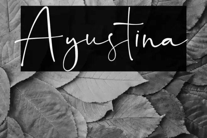 Ayustina Font examples