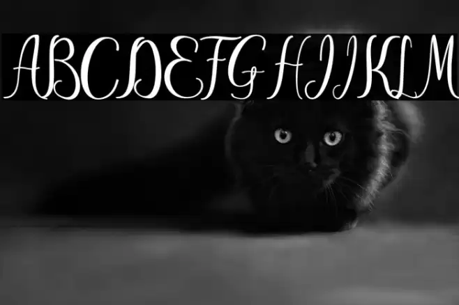 ayu widya Font examples