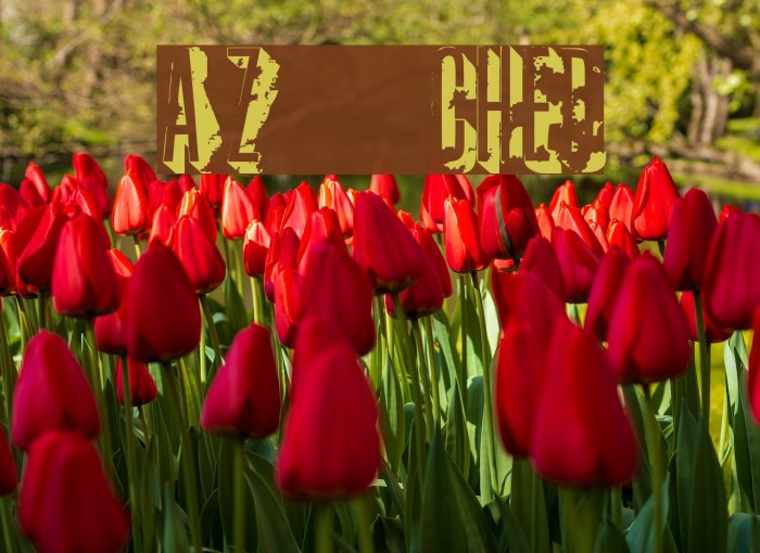 AZ crushed Font examples