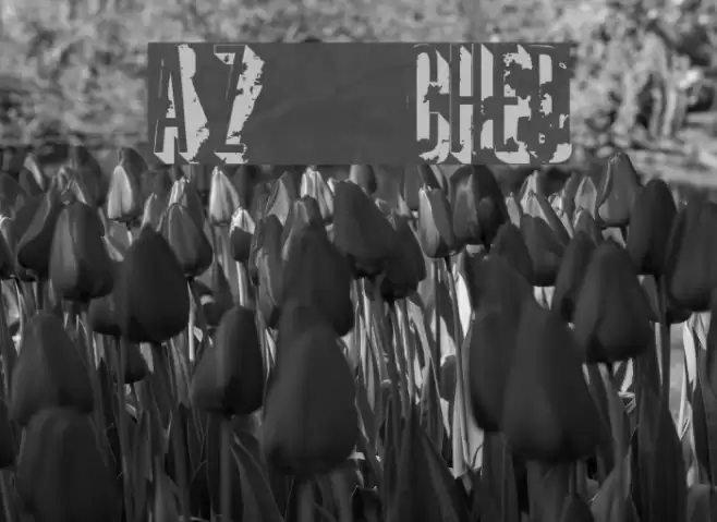 AZ  crushed Font examples