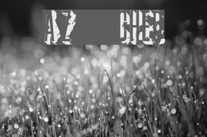 AZ  crushed Font examples