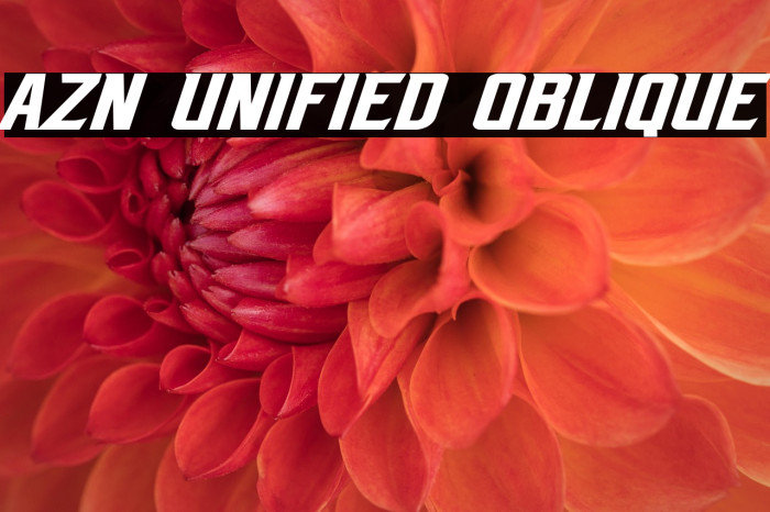 AZN Unified Oblique Example 1