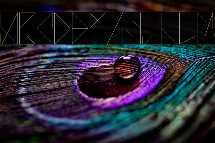 AZO - Tipografia normal Example 2