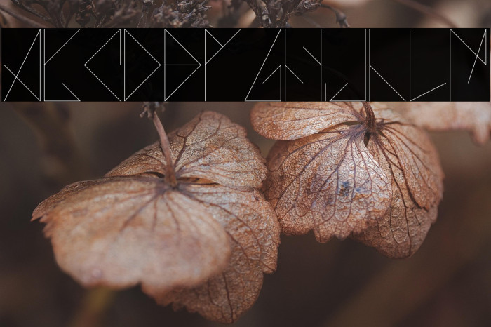 AZO - Tipografia normal Example 3