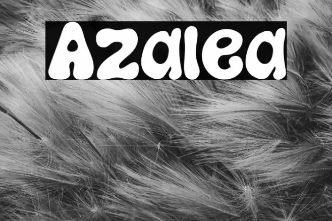 Azalea Font examples