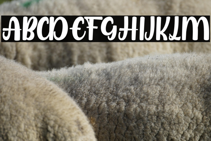 AzaritaRegularFREE Example 2