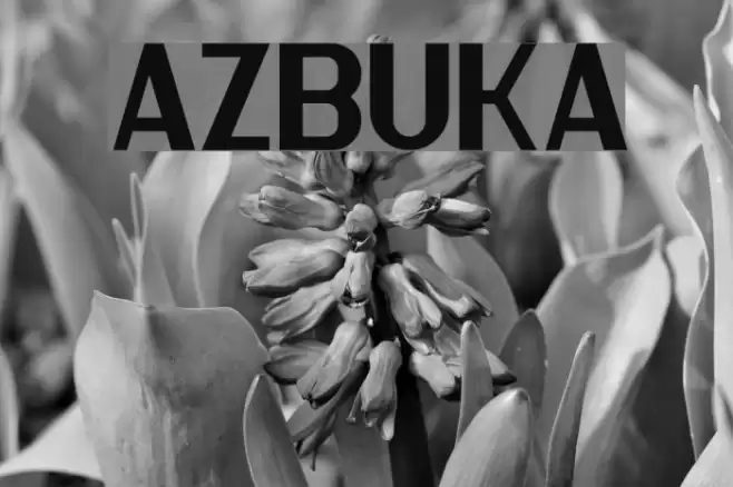 Azbuka Font examples
