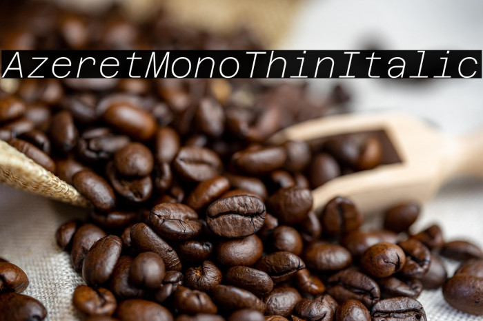 Azeret Mono Thin Italic Example 1