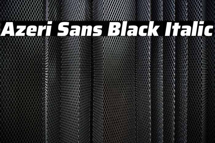 Azeri Sans Black Italic Example 3