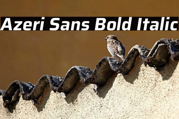 Azeri Sans Bold Italic Example 2
