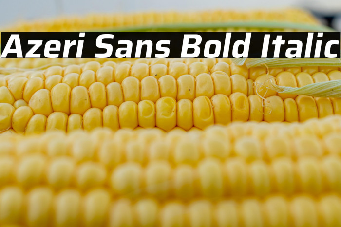 Azeri Sans Bold Italic Example 3