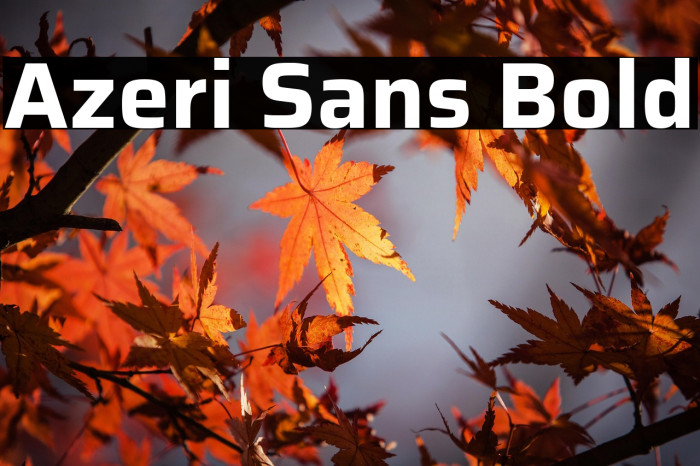 Azeri Sans Bold Example 3