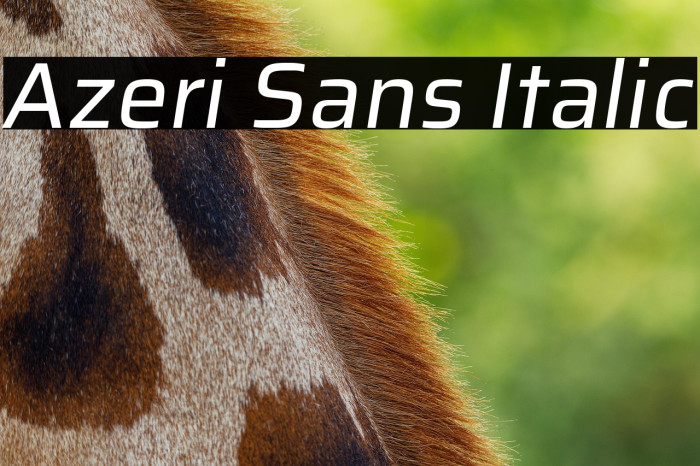 Azeri Sans Italic Example 1