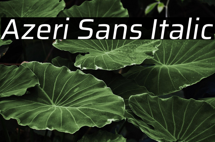 Azeri Sans Italic Example 3