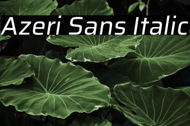 Azeri Sans Italic Example 3