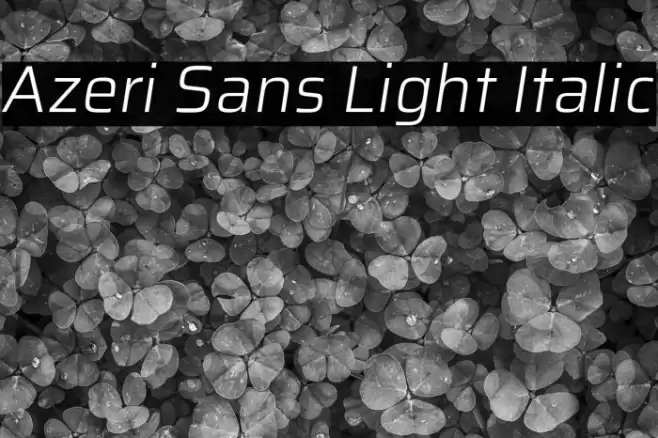 Azeri Sans Light Italic Font examples