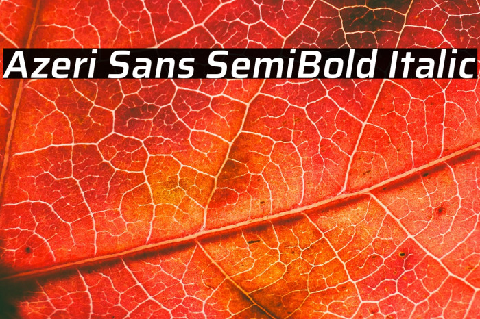 Azeri Sans SemiBold Italic Example 1