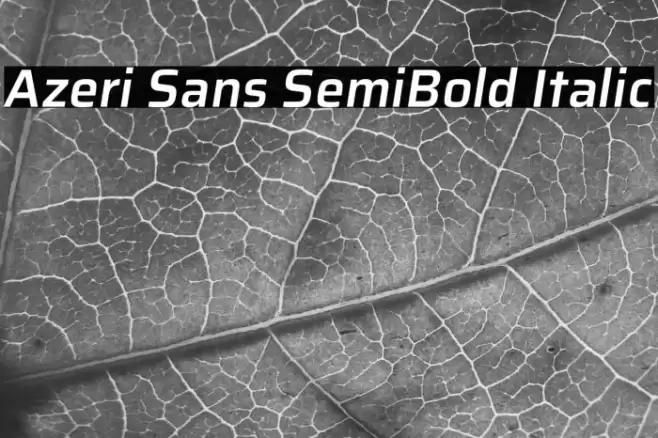 Azeri Sans SemiBold Italic Font examples