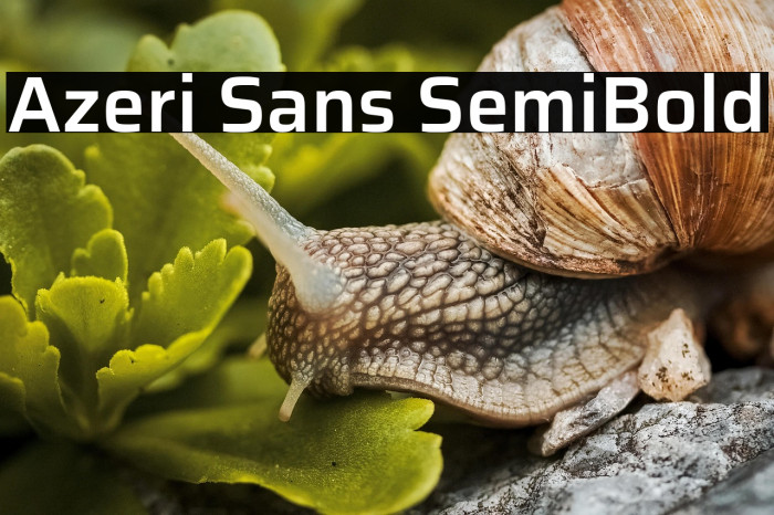 Azeri Sans SemiBold Example 1