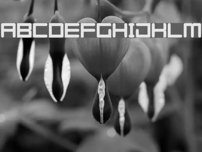 Azertype-Regular Regular Fuentes examples