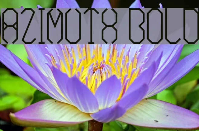 Azimuth Bold Example 2