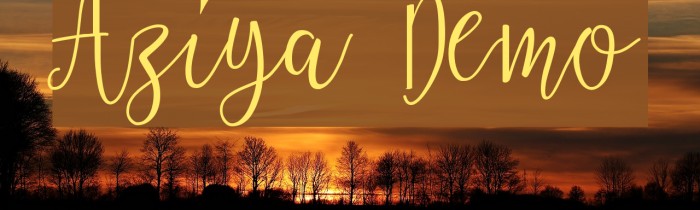Aziya Demo Font examples