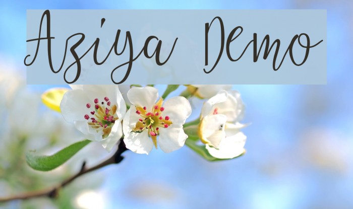 Aziya Demo Font examples