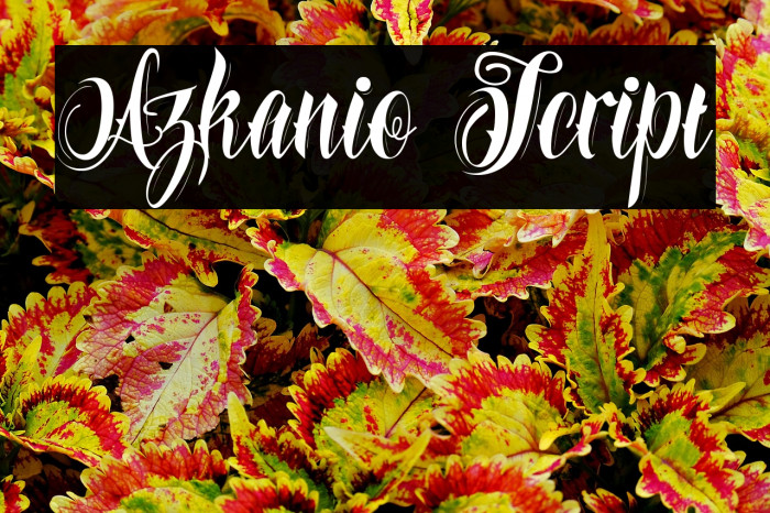 Azkanio Script Example 3