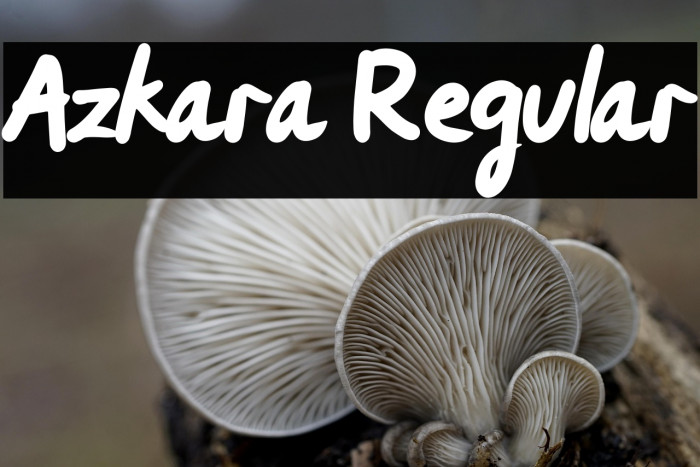 Azkara Regular Example 2