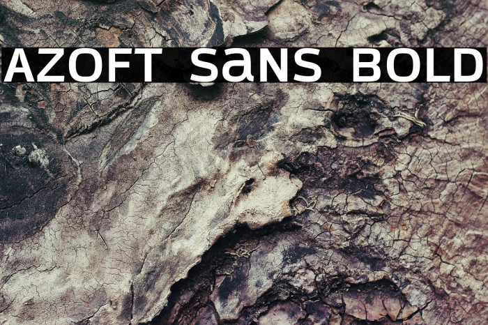 Azoft Sans Bold Example 1