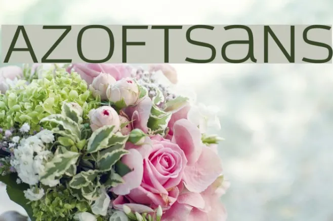 AzoftSans Example 3