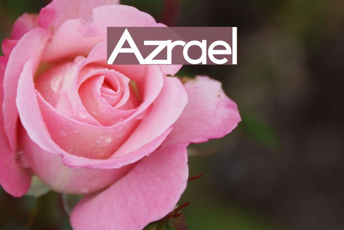 Azrael Font examples