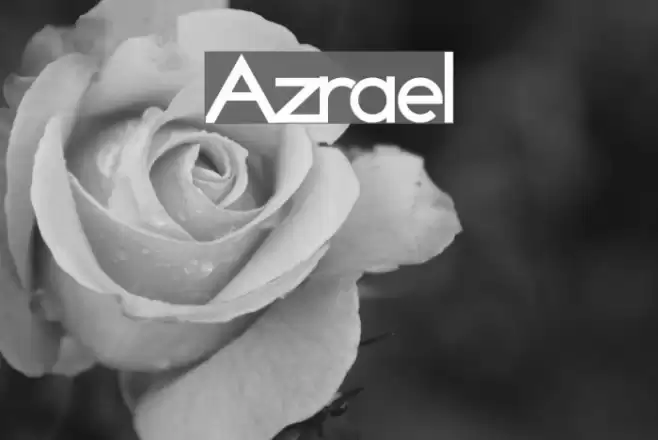 Azrael Polices examples