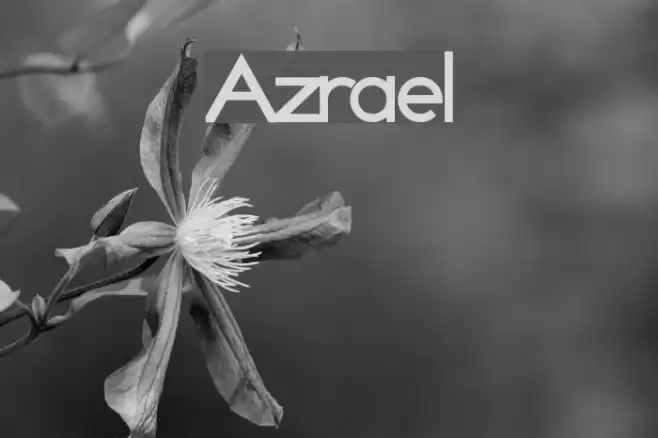 Azrael Polices examples