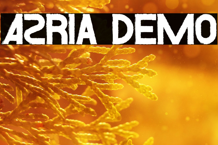 Azria Demo Example 2